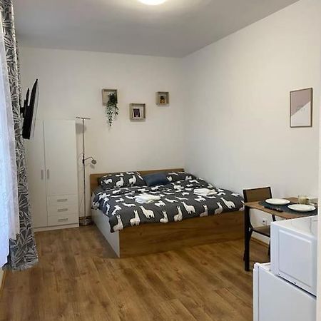 Cozy 1 Bedroom Studio In The Center Of Pilsen ภายนอก รูปภาพ