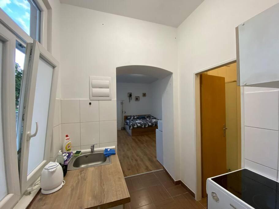 Cozy 1 Bedroom Studio In The Center Of Pilsen ภายนอก รูปภาพ